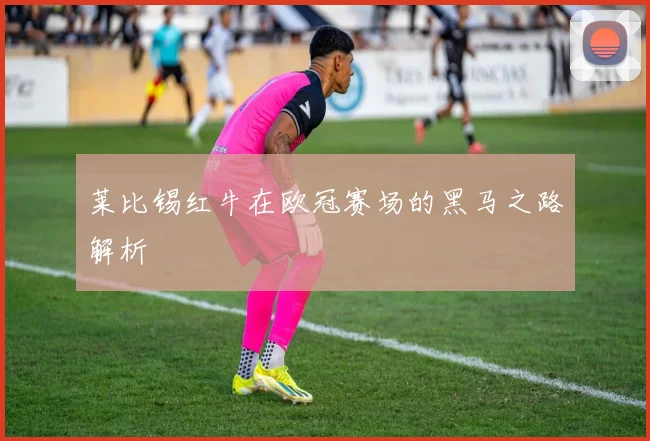 莱比锡红牛在欧冠赛场的黑马之路解析