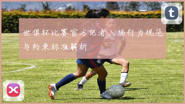世俱杯比赛官方记者入场行为规范与约束标准解析