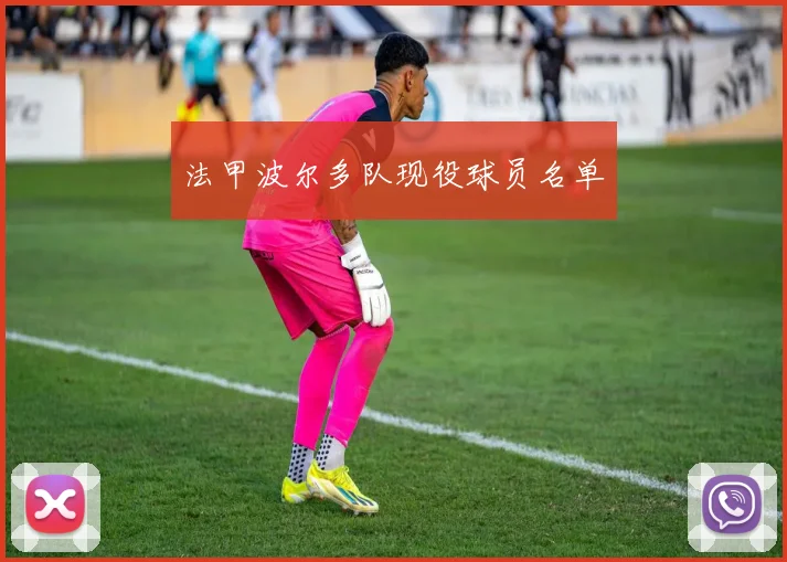 法甲波尔多队现役球员名单